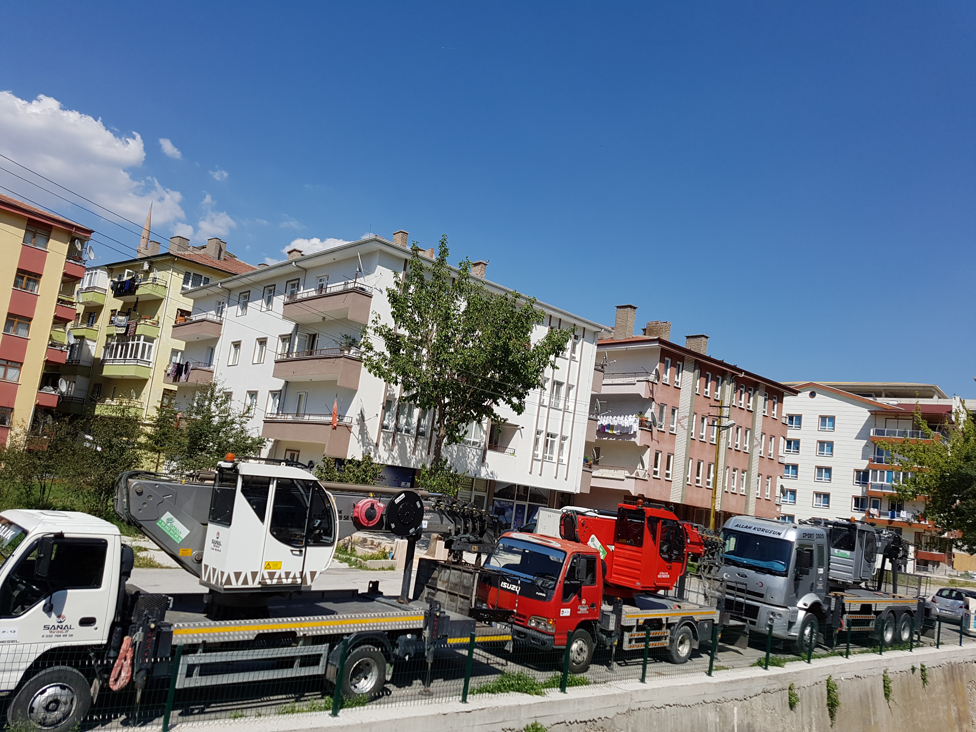 AĞAÇ BUDAMA, KESİM, VE SEVKİYAT